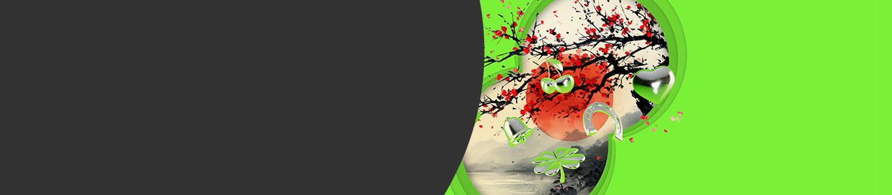 Chinese New Year Chinese New Year